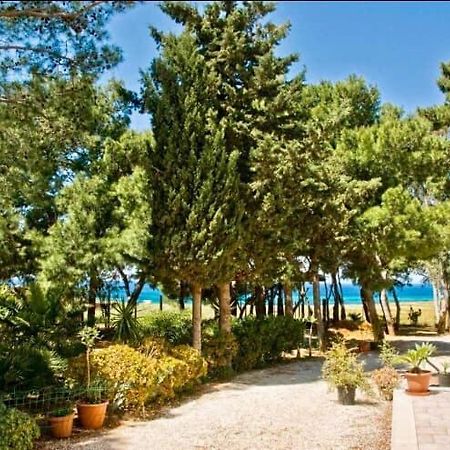 קסטלוצו Appartamento I Tramonti Di Cofano מראה חיצוני תמונה