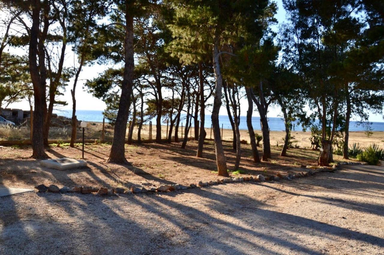 קסטלוצו Appartamento I Tramonti Di Cofano מראה חיצוני תמונה