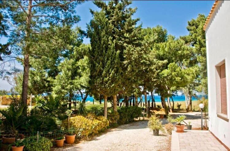 קסטלוצו Appartamento I Tramonti Di Cofano מראה חיצוני תמונה