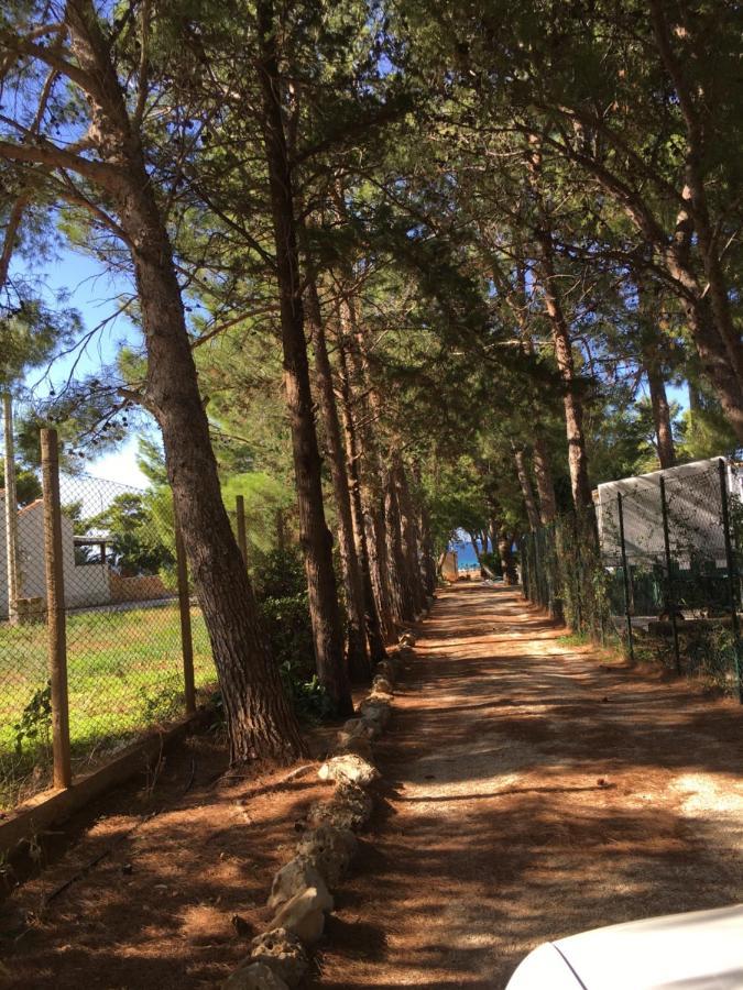 קסטלוצו Appartamento I Tramonti Di Cofano מראה חיצוני תמונה