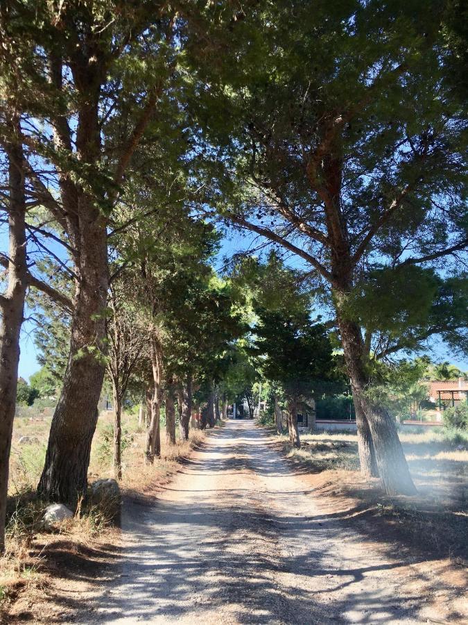 קסטלוצו Appartamento I Tramonti Di Cofano מראה חיצוני תמונה