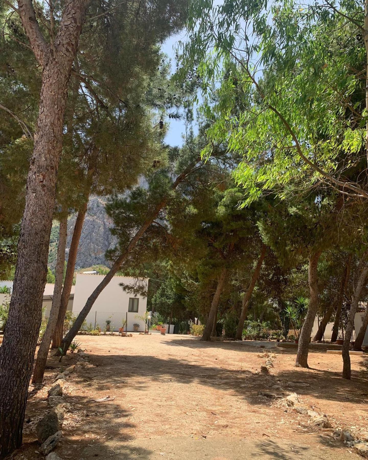 קסטלוצו Appartamento I Tramonti Di Cofano מראה חיצוני תמונה