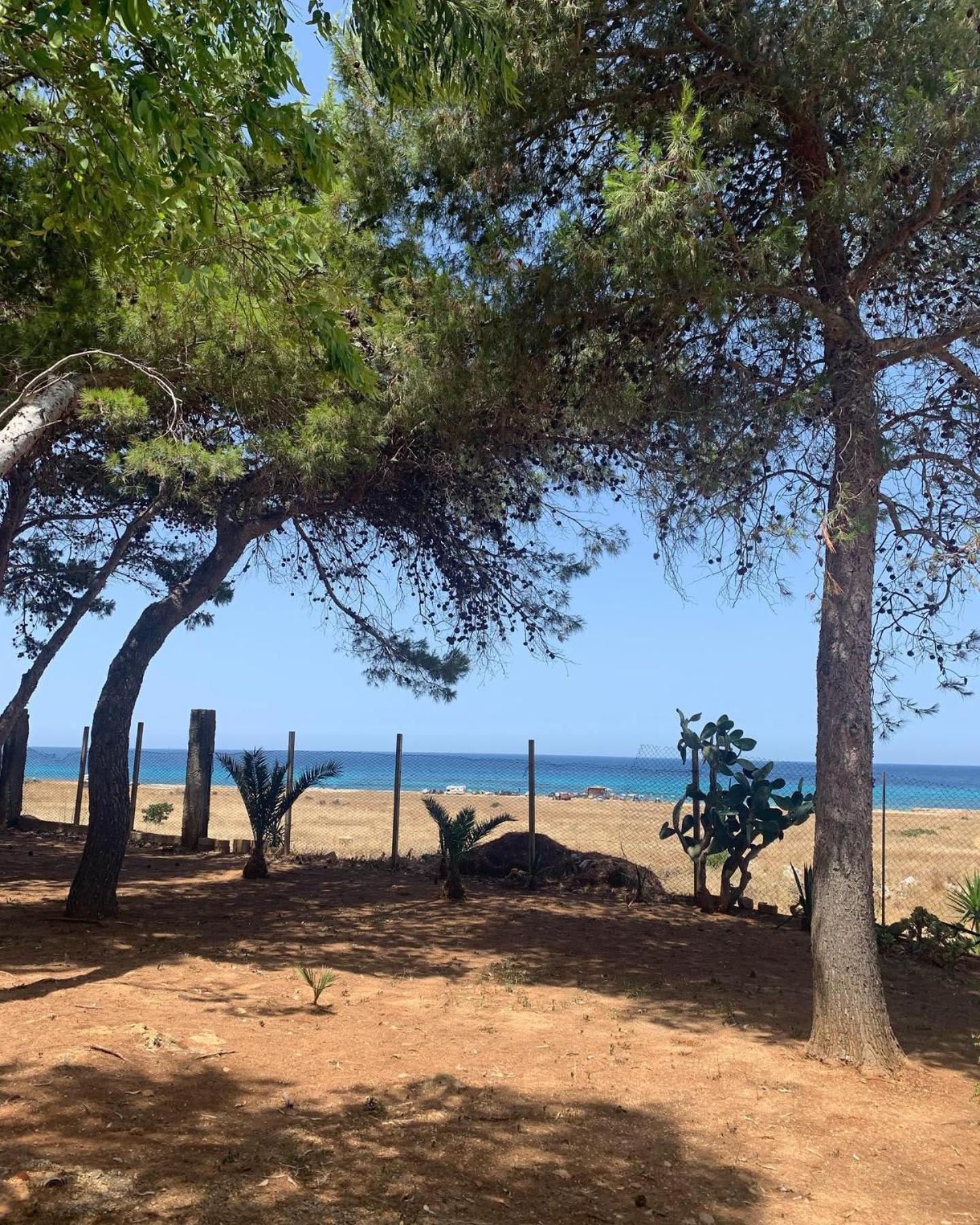 קסטלוצו Appartamento I Tramonti Di Cofano מראה חיצוני תמונה